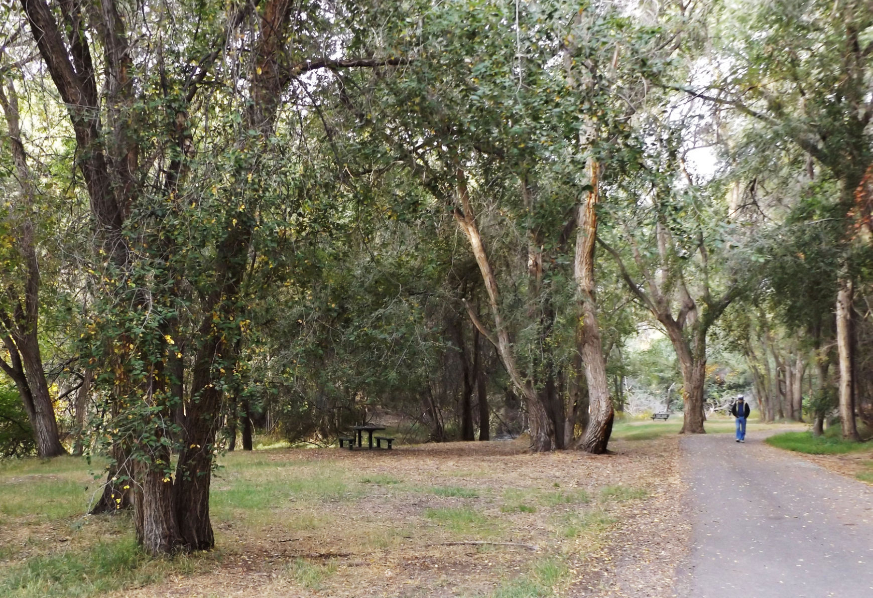 Urban trails